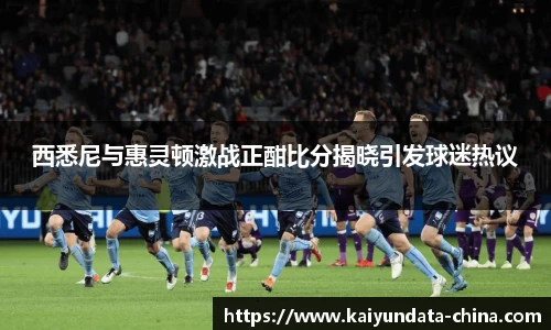 西悉尼与惠灵顿激战正酣比分揭晓引发球迷热议